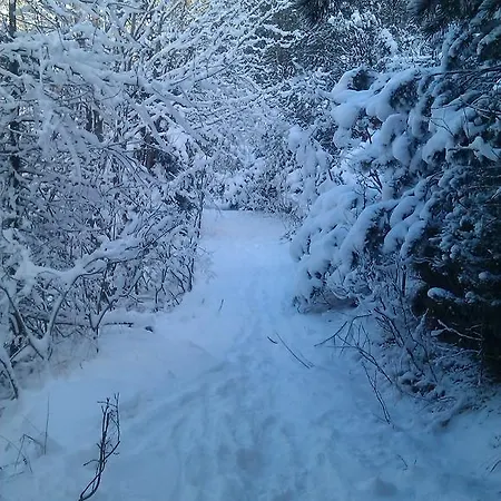 Seghetto Хостел